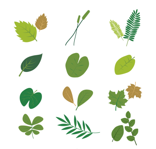 12 Green leaves design vector material